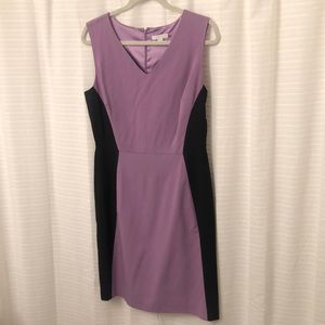 Flattering Purple and Black Dress